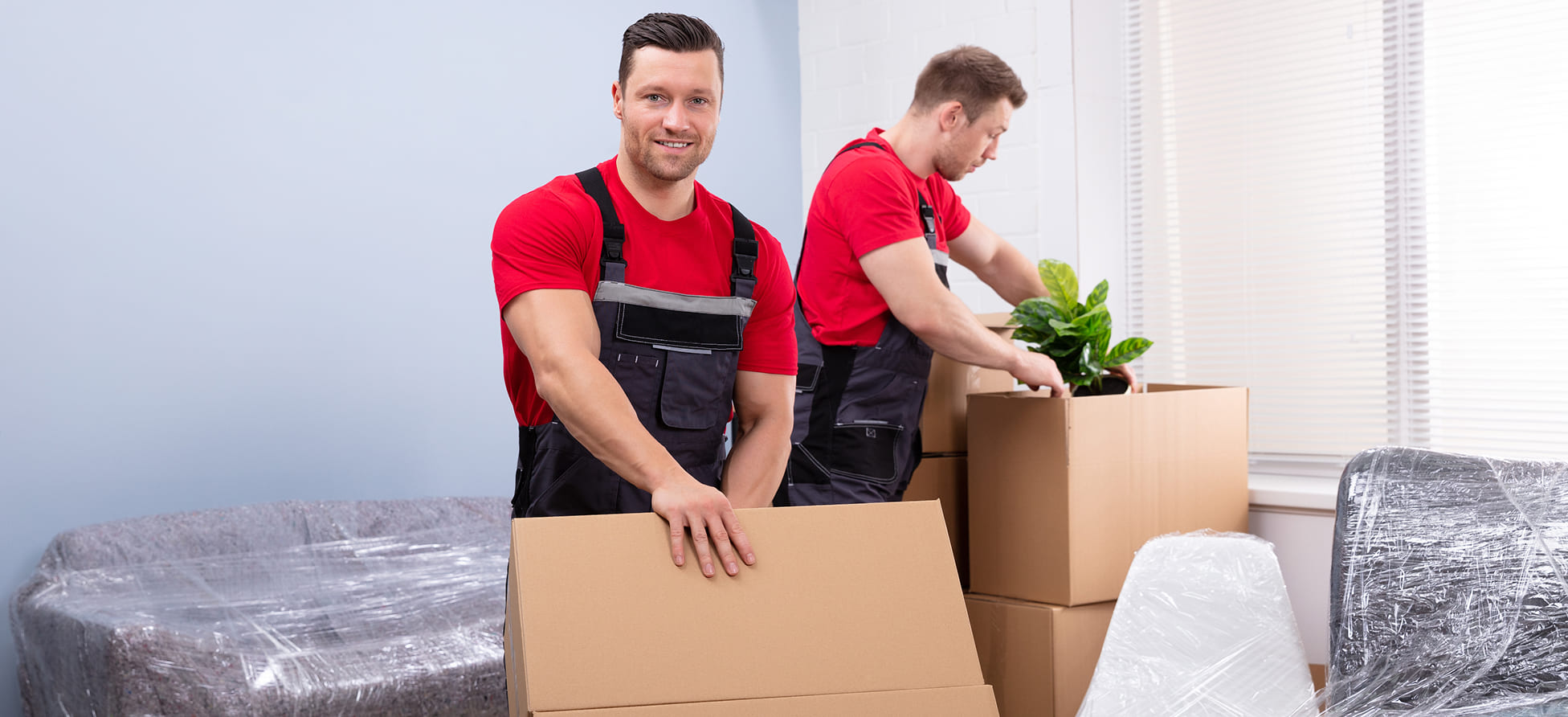 Professional Movers and Packers