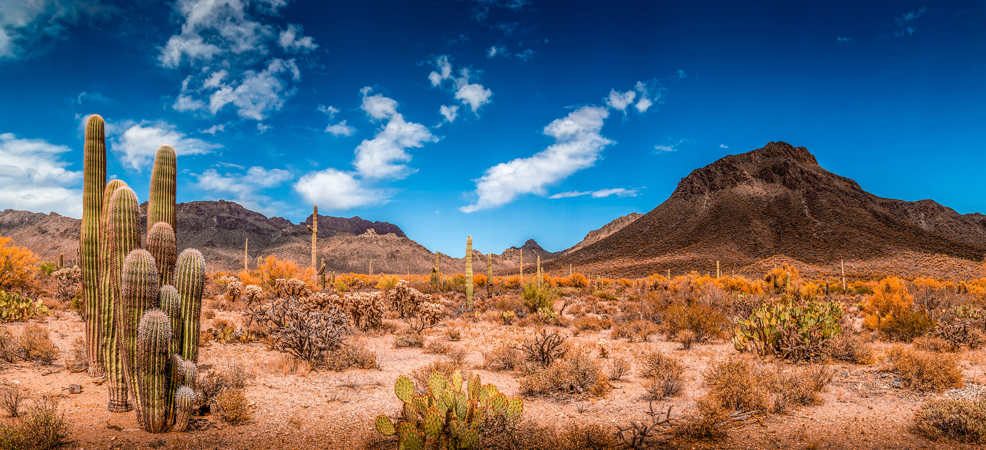 Reasons to move to Arizona