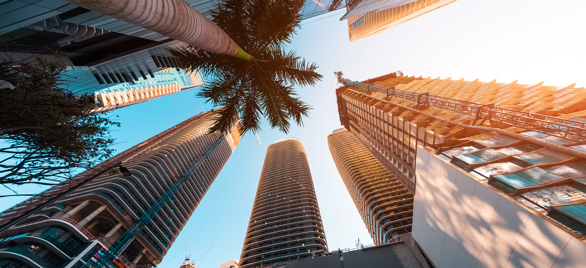 Moving from Miami to Dubai