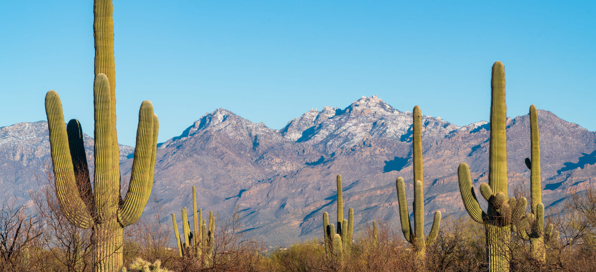 Top 5 Destinations in the Southern United States