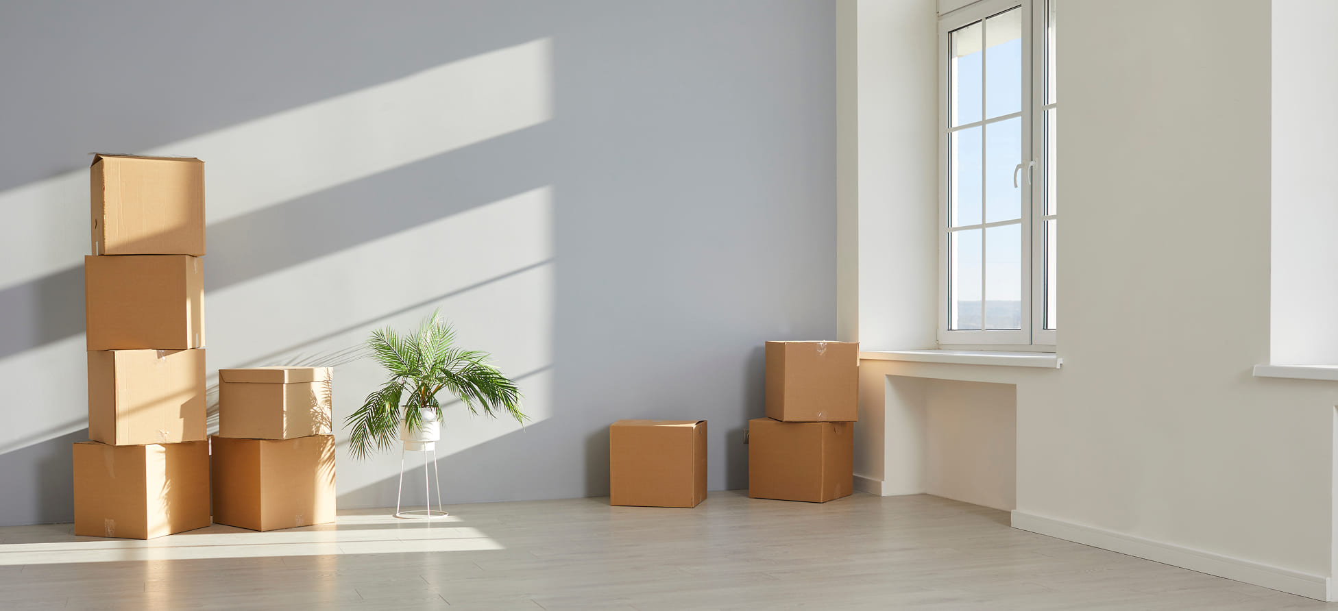 Things To Know About International Relocation | IVL