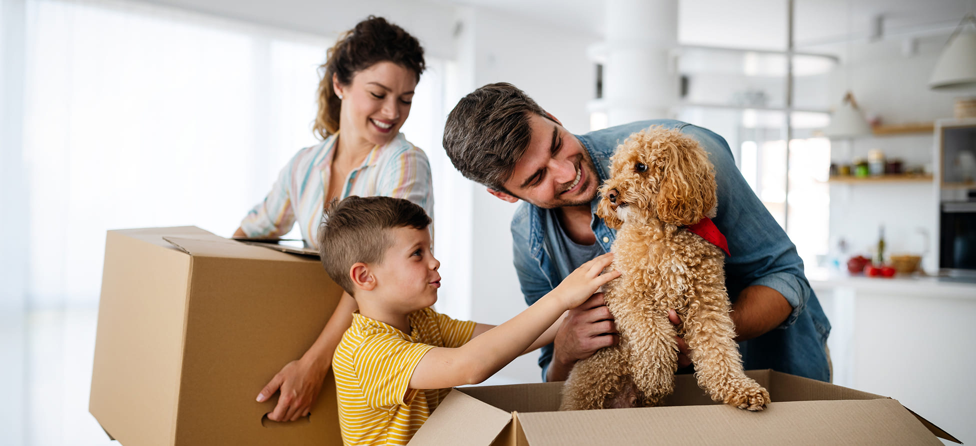 Moving Insurance and How it Works