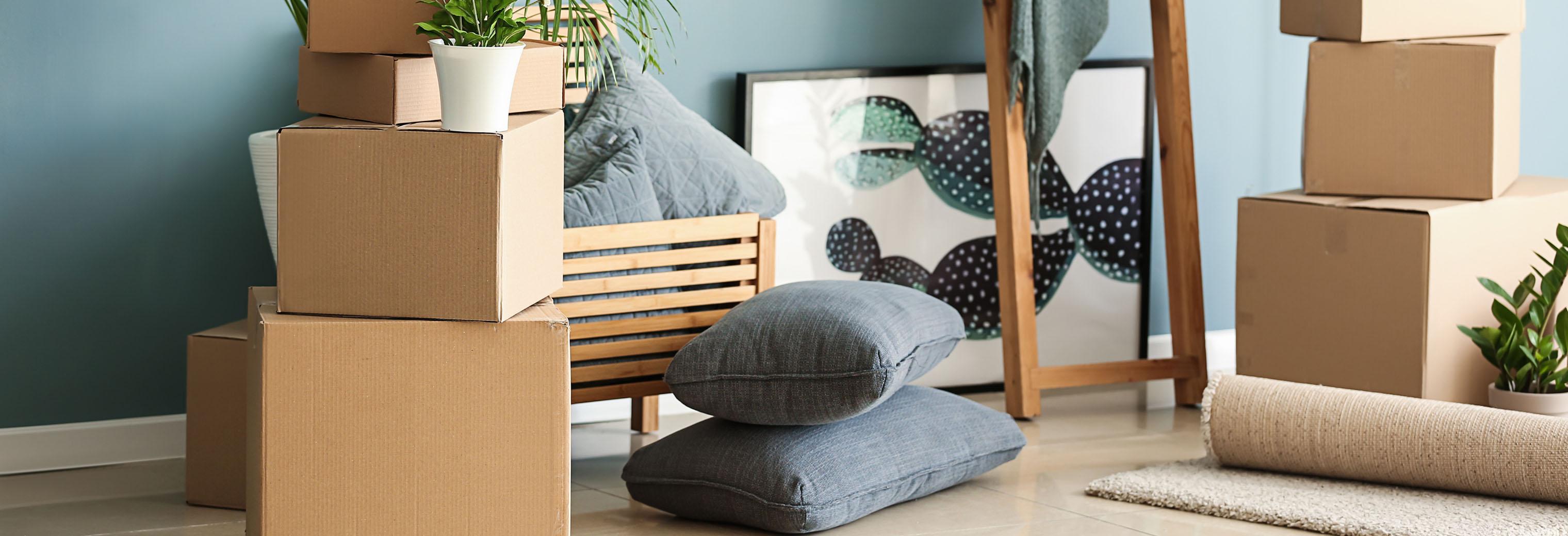 Car Shipping Services