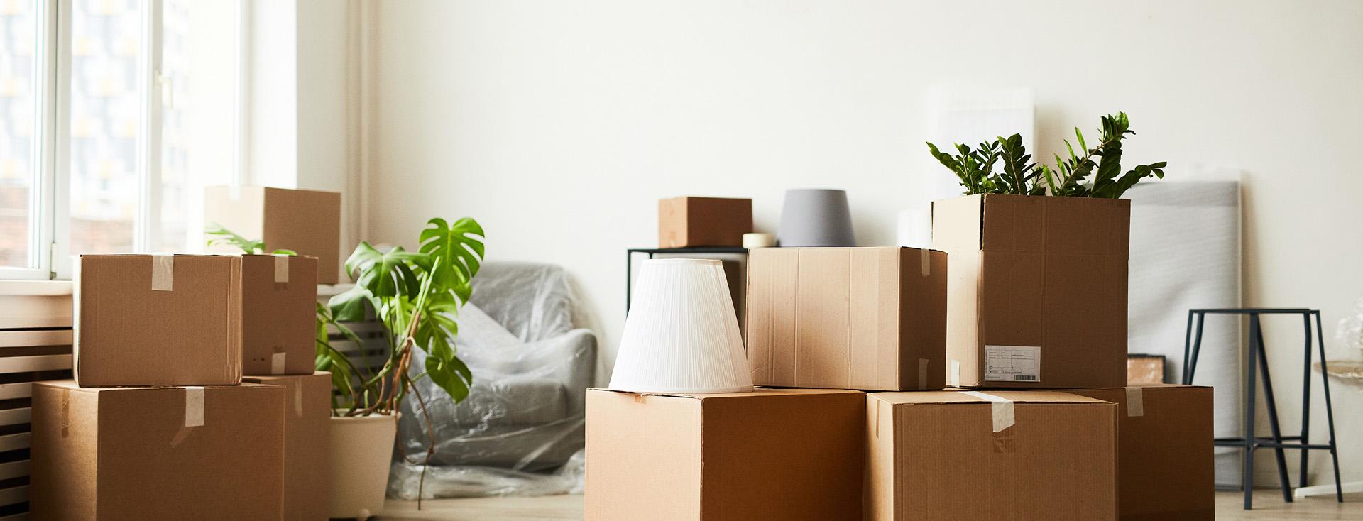 Packed moving boxes and household items in a bright room, symbolizing a home move with International Van Lines.