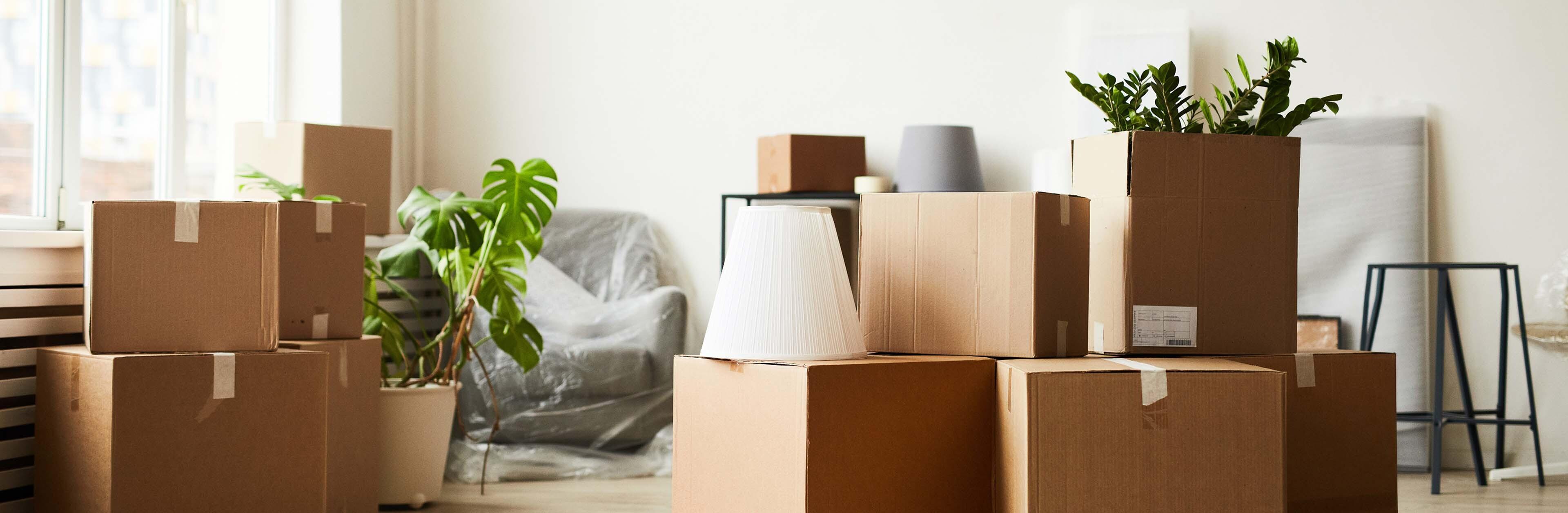 Packed moving boxes and household items in a bright room, symbolizing a home move with International Van Lines.